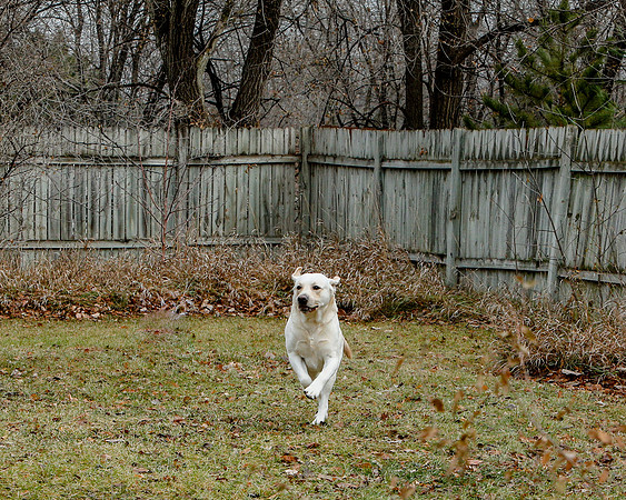 2020-Kathleen-Riley-Photography-0092