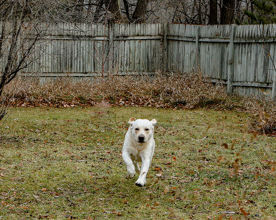 2020-Kathleen-Riley-Photography-0095