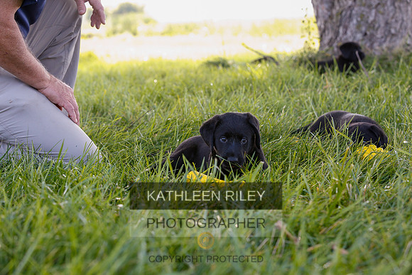 2022-KathleenRileyPhotography-7888