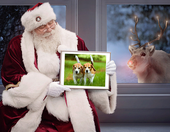 Santa Reindeer (H) IMG_5477