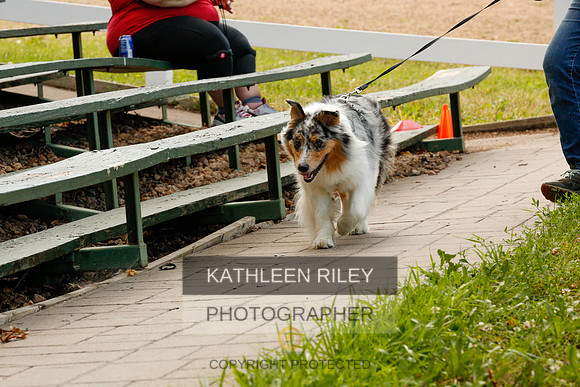 2022-KathleenRileyPhotography-0020