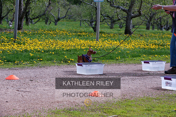 2022-KathleenRileyPhotography-8516