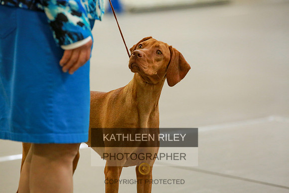 2022-KathleenRileyPhotography-8842