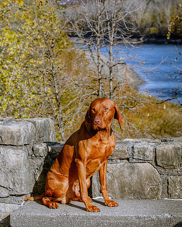 2020-KathleenRieyPhotography-Hoffbeck-3