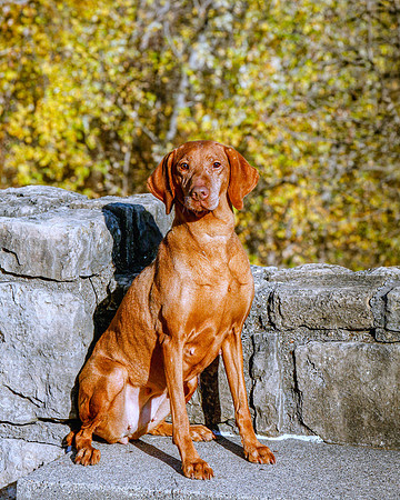 2020-KathleenRileyPhotography-Hoffbeck-1