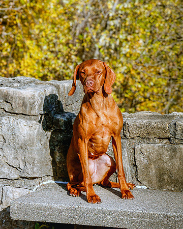 2020-KathleenRileyPhotography-Hoffbeck-5