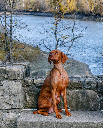 2020-KathleenRileyPhotography-Hoffbeck-7