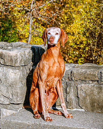 2020-KathleenRileyPhotography-Hoffbeck-9