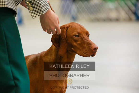 2022-KathleenRileyPhotography-8792
