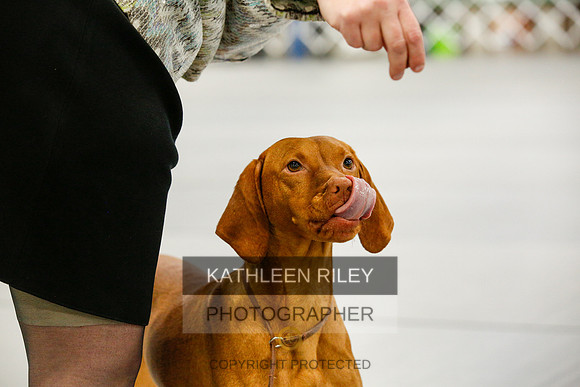 2022-KathleenRileyPhotography-9830