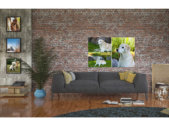 Wall Art Dogs and Horses IMG_5417