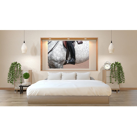 Bedroom horse wall art IMG_5415