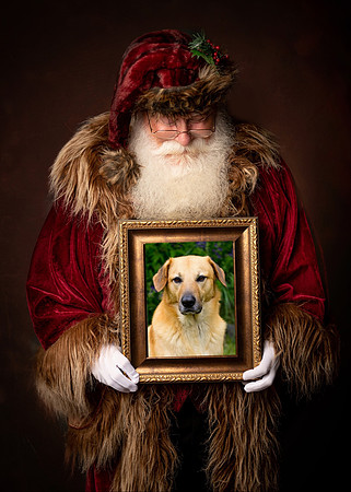 Santa Virtual Photos IMG_5744