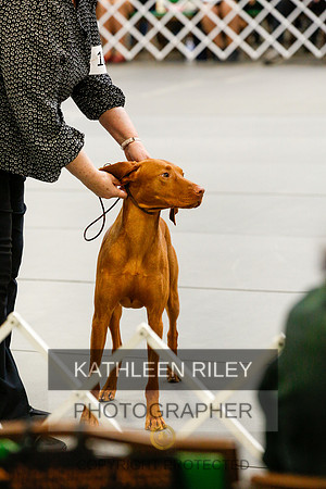 2022-KathleenRileyPhotography-0877
