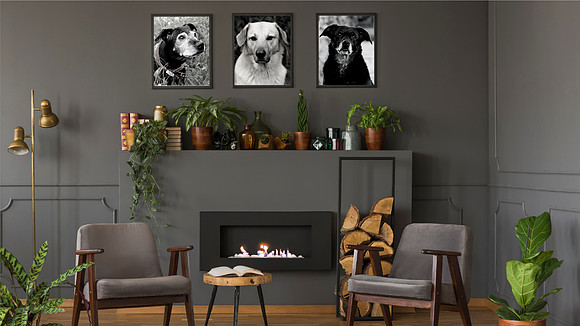 2021-BW-Dogs-Framed