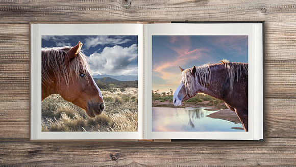 2021-Photo-Book-Riley-Photo