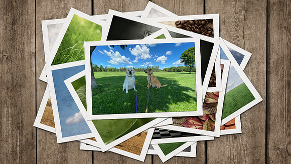 2021-Photos-stack--Riley-Photo