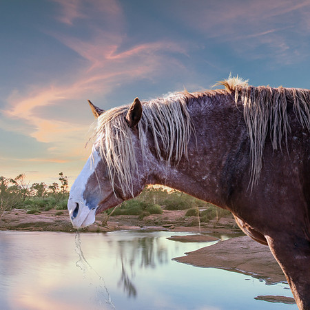 2020 Kathleen Riley Mustang Water