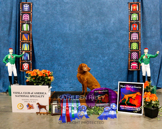 2022-KathleenRileyPhotography-0712