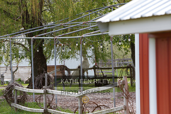 2022-KathleenRileyPhotography-8609