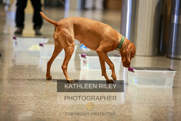 2022-KathleenRileyPhotography-7504
