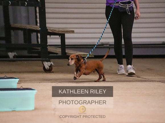 2022-KathleenRileyPhotography-110