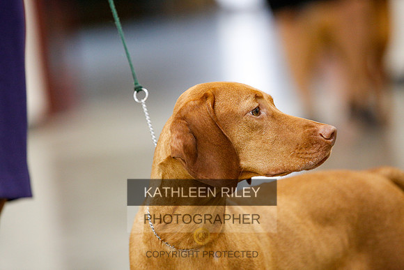 2022-KathleenRileyPhotography-2367