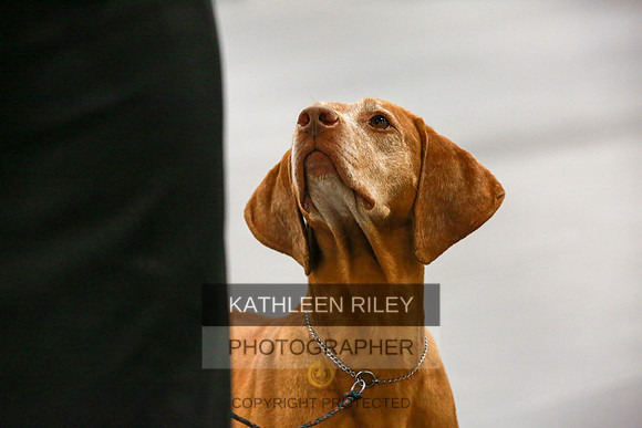 2022-KathleenRileyPhotography-8172