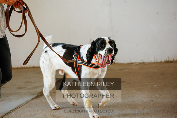 2022-KathleenRileyPhotography-9260