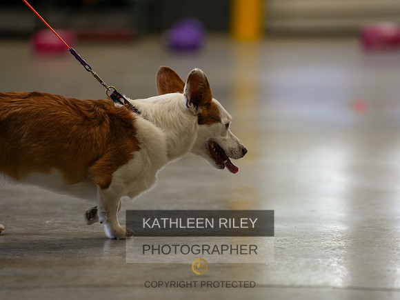 2022-KathleenRileyPhotography-03752