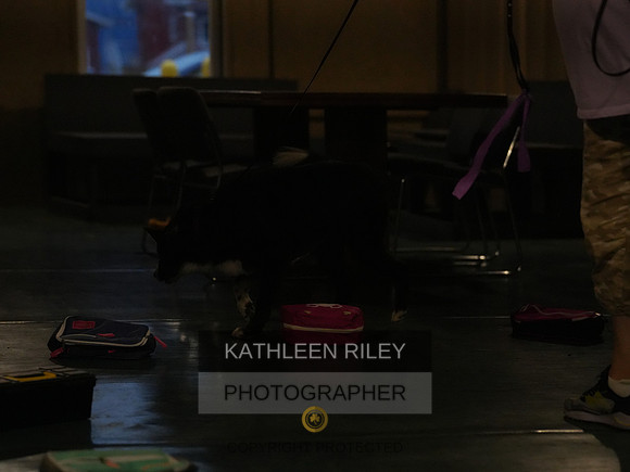 2022-KathleenRileyPhotography074