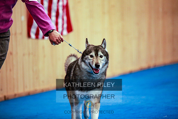 2022-KathleenRileyPhotography-5486