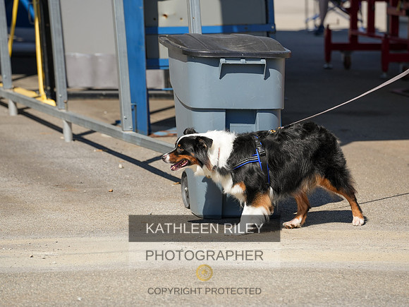 2022-KathleenRileyPhotography-03961