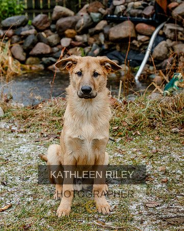 2020-Kathleen-Riley-Photography-0055 Mick