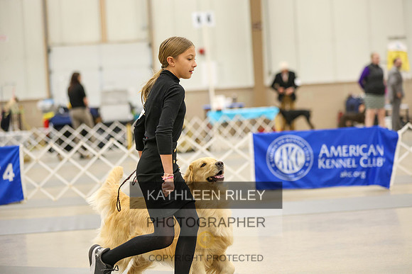 SJLT6222