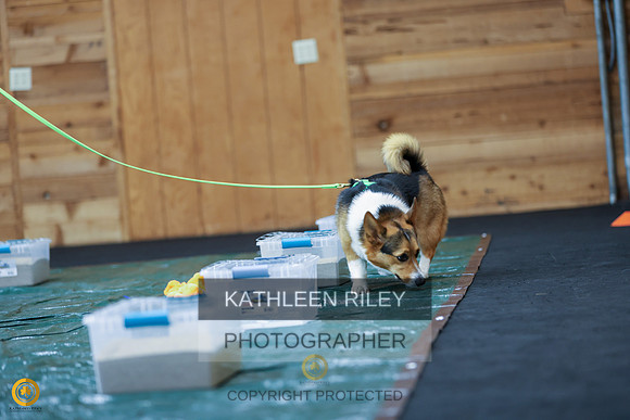 SJLT9823