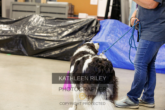 2022-KathleenRileyPhotography-7001