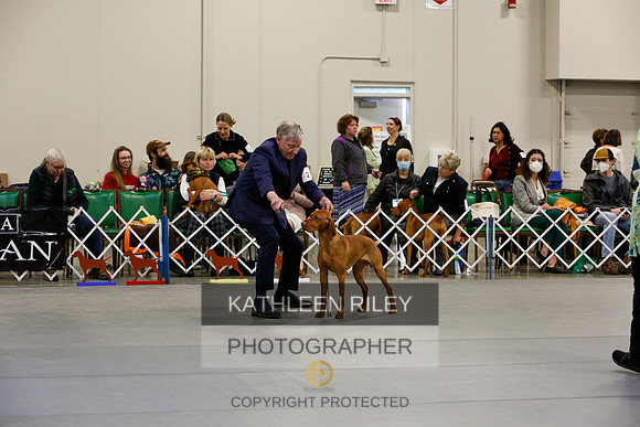 2022-KathleenRileyPhotography-2287