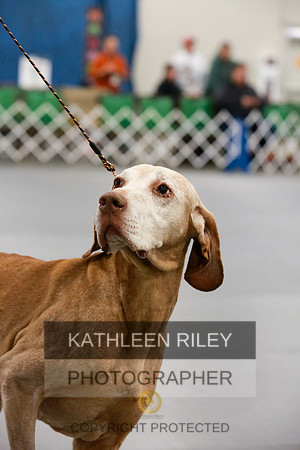 2022-KathleenRileyPhotography-8035
