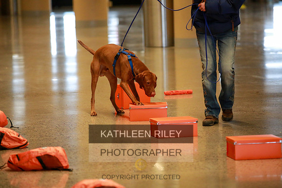 2022-KathleenRileyPhotography-7406