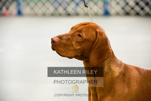 2022-KathleenRileyPhotography-8672