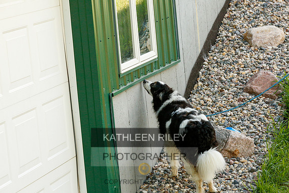 2022-KathleenRileyPhotography-0278