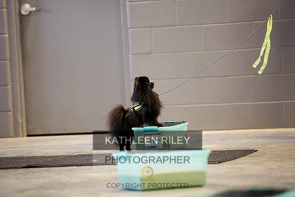 2022-KathleenRileyPhotography-6095