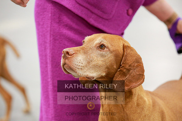 2022-KathleenRileyPhotography-8171
