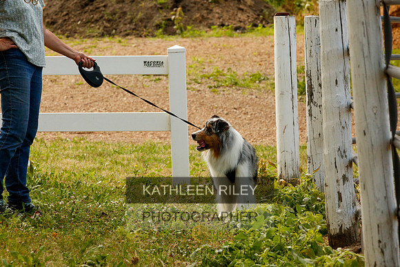 2022-KathleenRileyPhotography-0018