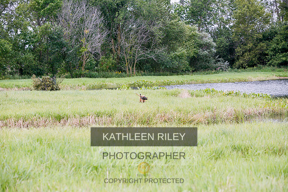 2022-KathleenRileyPhotography-3187