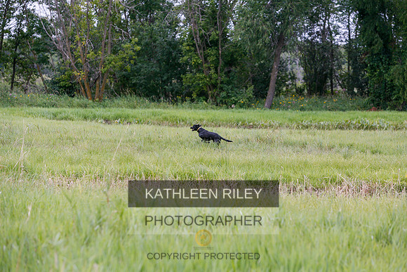 2022-KathleenRileyPhotography-3374