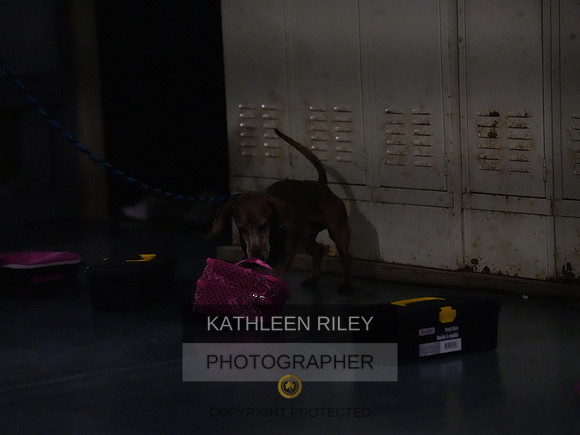 2022-KathleenRileyPhotography183