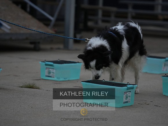2022-KathleenRileyPhotography022