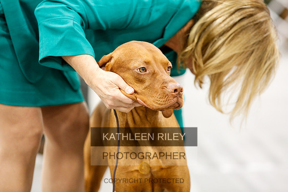 2022-KathleenRileyPhotography-1656